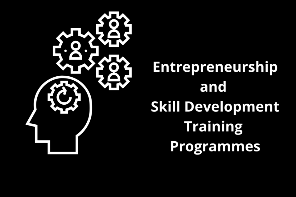 Entrepreneurship and Skill Development Training Programmes launched by the Government